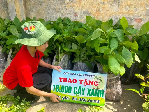 TRỒNG CÂY